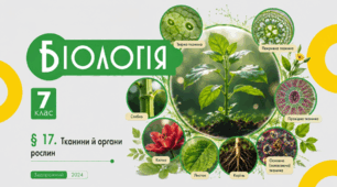 Тканини й органи рослин. Презентація, інфографіка, робочий аркуш