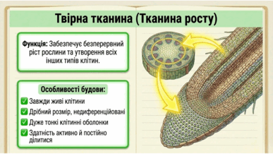 09025evf-581c-387x218.png