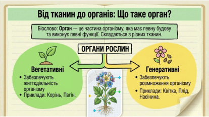 09025evg-7044-414x233.png