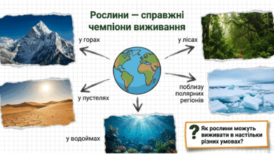 09025ewc-8abb-391x220.png
