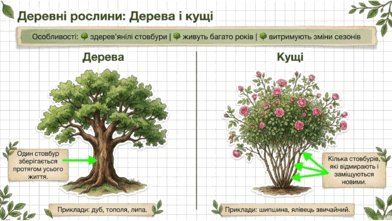 09025ewh-cd5c-392x221.png