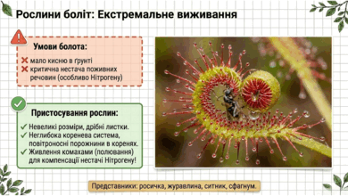 09025ewj-d677-390x220.png
