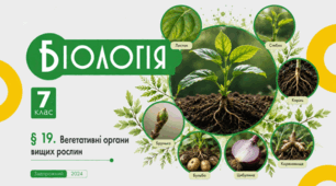 Вегетативні органи вищих рослин. Презентація, інфографіка, робочий аркуш