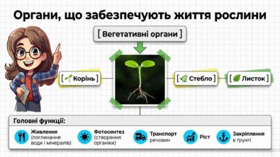 09025exx-4cf9-395x222.png