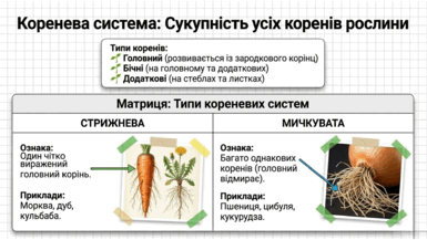 09025ey0-0411-385x217.png