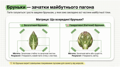 09025ey2-59ad-387x218.png