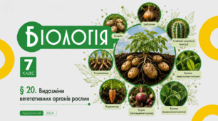 Видозміни вегетативних органів рослин. Презентація, інфографіка, робочий аркуш
