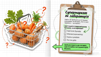 09025f7m-cb1b-405x228.png