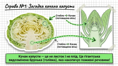 09025f7p-8d42-403x227.png