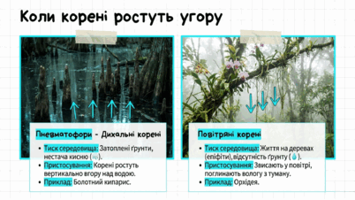 09025f7s-4215-402x226.png