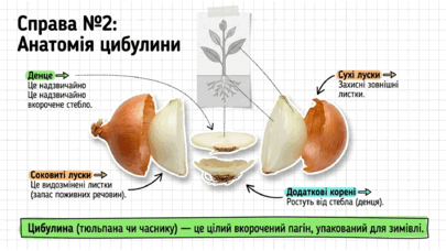 09025f7v-007b-405x228.png