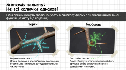 09025f82-1738-401x225.png