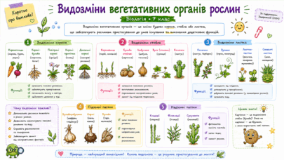 09025f83-3996-405x228.png
