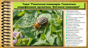 Генетична інженерія. Генетично модифіковані організми. Клітинна інженерія. Біологія. 9 клас НУШ (2026). До підручника Балан П., Козленко О. та ін.