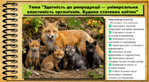 Здатність до репродукції — універсальна властивість організмів. Будова статевих клітин. Біологія. 9 клас НУШ (2026). До підручника Балан П., Козленко О. та ін.