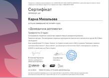  Домедична допомога