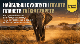 Світ слонів: біологія, охорона та проблеми експлуатації в туризмі