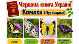 Червона книга України. Комахи (Лускокрилі)