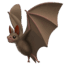 🦇