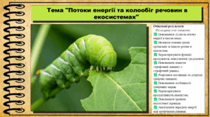 Потоки енергії та колообіг речовин в екосистемах. Біологія. 9 клас НУШ (2026). До підручника Балан П., Козленко О. та ін.
