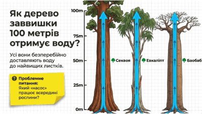 09025iln-156e-398x224.png