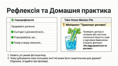 09025im5-20b6-396x223.png