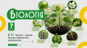 Рослина — цілісний організм. Взаємозв’язки органів рослин. Презентація, інфографіка, робочий аркуш