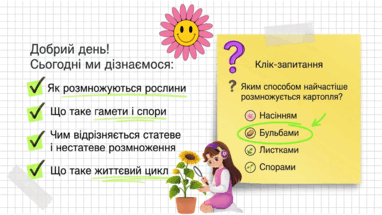 09025imr-cbbc-382x215.png