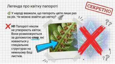 09025imt-2855-381x214.png
