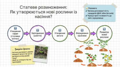 09025imv-d6df-417x235.png