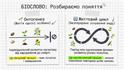 09025imz-df36-421x237.png