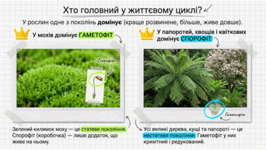 09025in1-bd9e-385x217.png