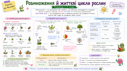 09025in4-156b-416x234.png