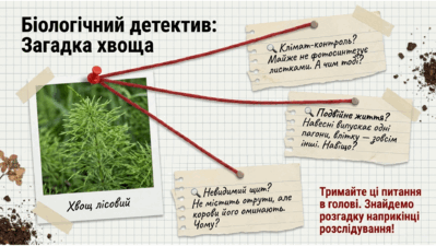 09025iyx-90ab-399x225.png