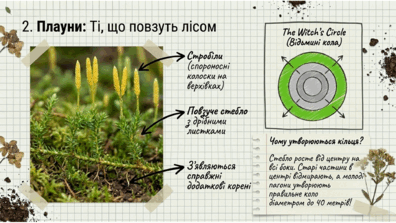 09025iz8-f8d1-396x223.png