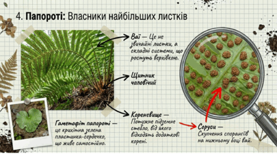 09025izi-0d79-405x228.png