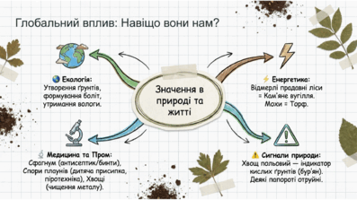 09025izl-c836-397x223.png