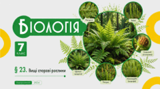 Вищі спорові рослини. Презентація, інфографіка, робочий аркуш