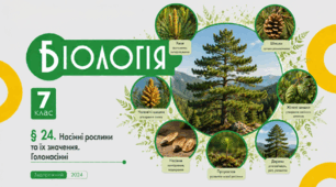 Насінні рослини та їх значення. Голонасінні. Презентація, інфографіка, робочий аркуш