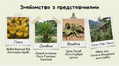09025j1l-f0d6-397x223.png