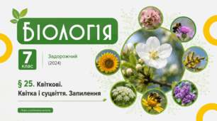 Квіткові. Квітка і суцвіття. Запилення. Презентація, інфографіка, робочий аркуш