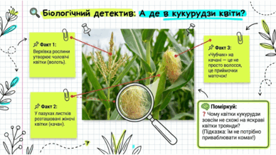 09025j34-9e8f-388x218.png