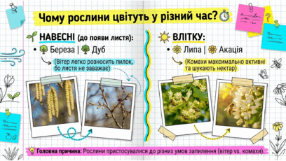 09025j36-ccdd-408x230.png