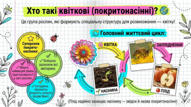 09025j37-0866-385x217.png