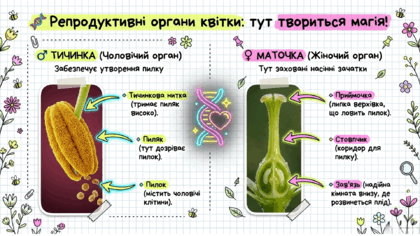 09025j38-0b25-420x236.png
