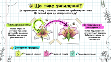 09025j39-c7a5-386x217.png
