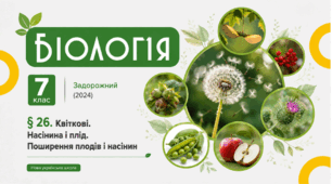 Квіткові. Насінина і плід. Поширення плодів і насінин. Презентація, інфографіка, робочий аркуш