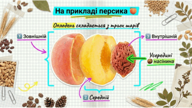 09025j5u-f6fd-389x219.png