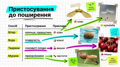 09025j5x-b116-384x216.png