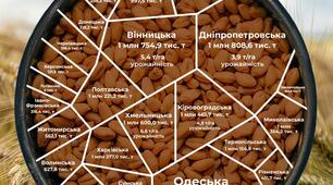 STEM-проєкт: Математичне та комп'ютерне моделювання в агросфері (Лінійна функція та аналіз даних в Excel, 7 клас)